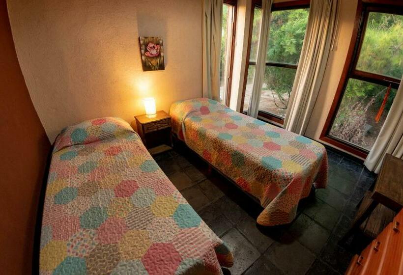 스탠다드 방갈로, Cabañas Marjumi