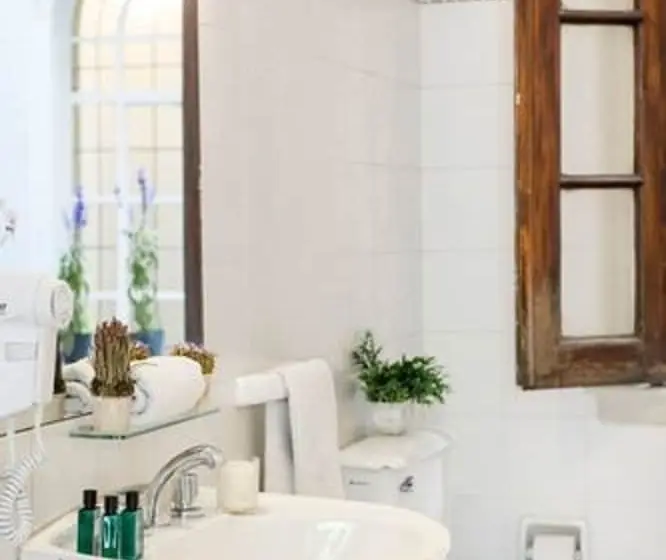 اتاق سوپریور یک تخته, Patios De Recoleta