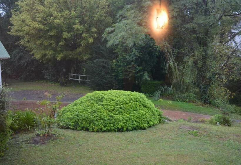 四人标准间, Prater