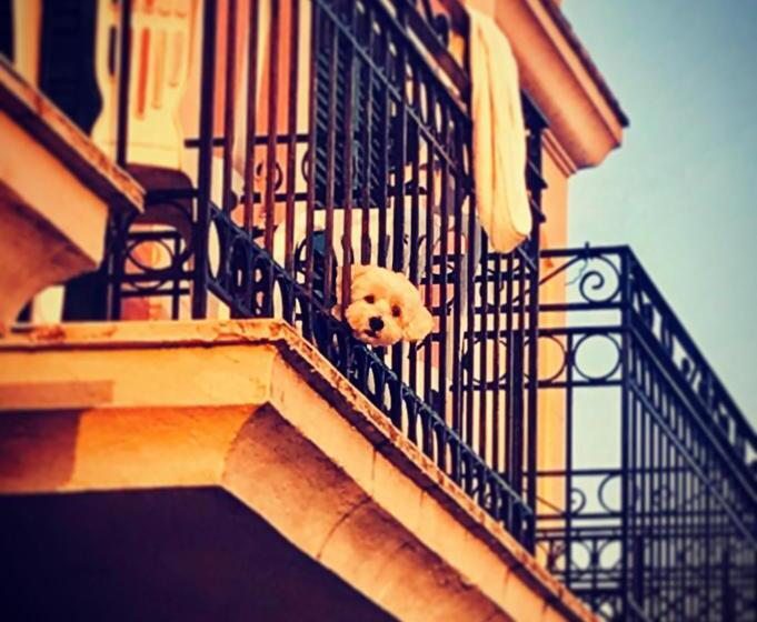 침실 1개 바다 전망 아파트, Ionian Arches