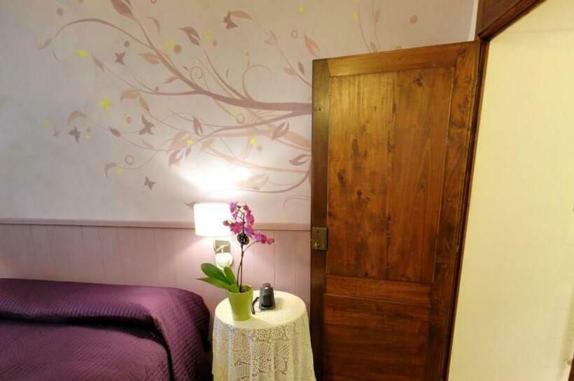 חדר סטנדרט, Domus Aurea