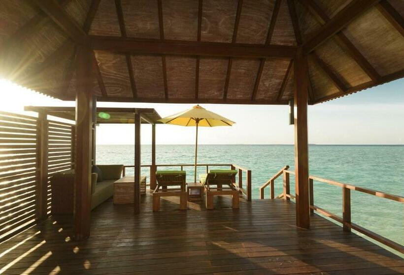 ویلای 1 خوابه, Dhigufaru Island Resort