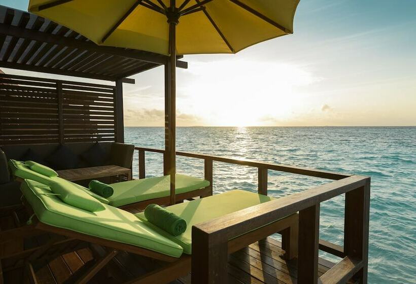 ویلای 1 خوابه, Dhigufaru Island Resort