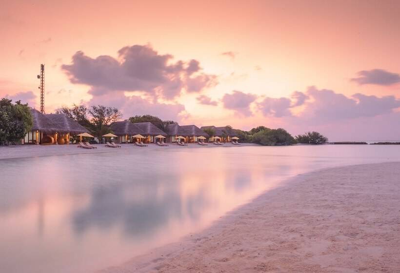 ویلای 1 خوابه, Dhigufaru Island Resort