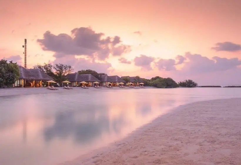 ویلای 1 خوابه, Dhigufaru Island Resort