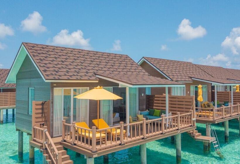 ویلای 1 خوابه, Dhigufaru Island Resort