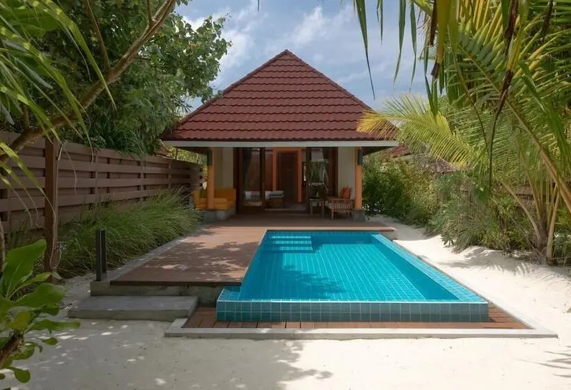 ویلای یک اتاق خوابه با استخر شنا, Dhigufaru Island Resort