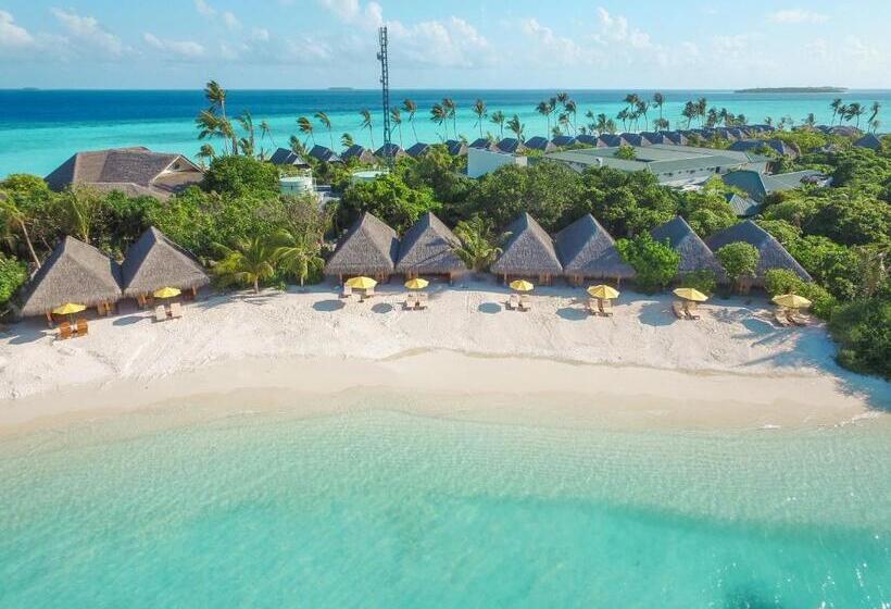 ویلای 1 خوابه, Dhigufaru Island Resort