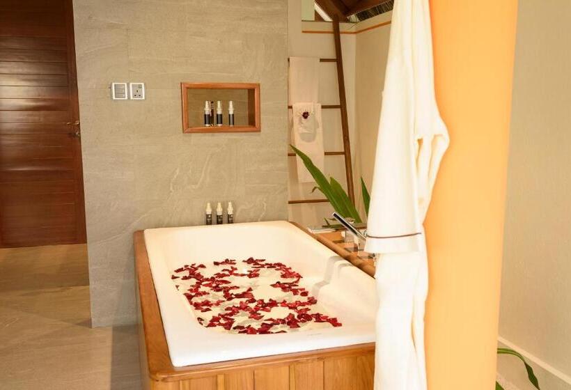 ویلای یک اتاق خوابه با استخر شنا, Dhigufaru Island Resort