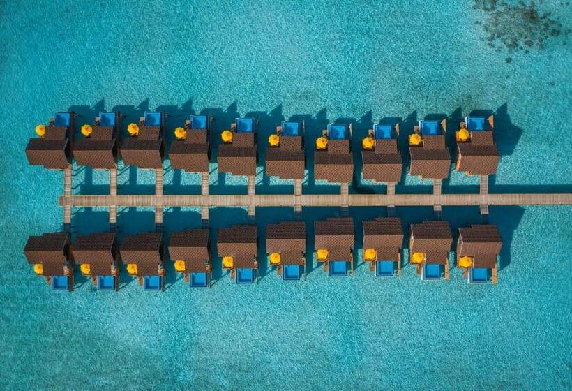 ویلای یک اتاق خوابه با استخر شنا, Dhigufaru Island Resort