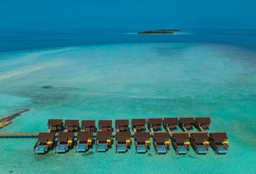 ویلای یک اتاق خوابه با استخر شنا, Dhigufaru Island Resort