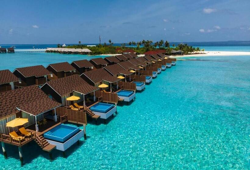 ویلای یک اتاق خوابه با استخر شنا, Dhigufaru Island Resort