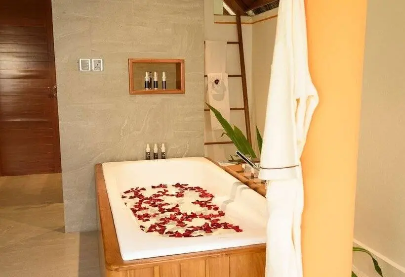 ویلای یک اتاق خوابه با استخر شنا, Dhigufaru Island Resort