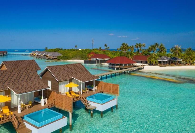 ویلای یک اتاق خوابه با استخر شنا, Dhigufaru Island Resort