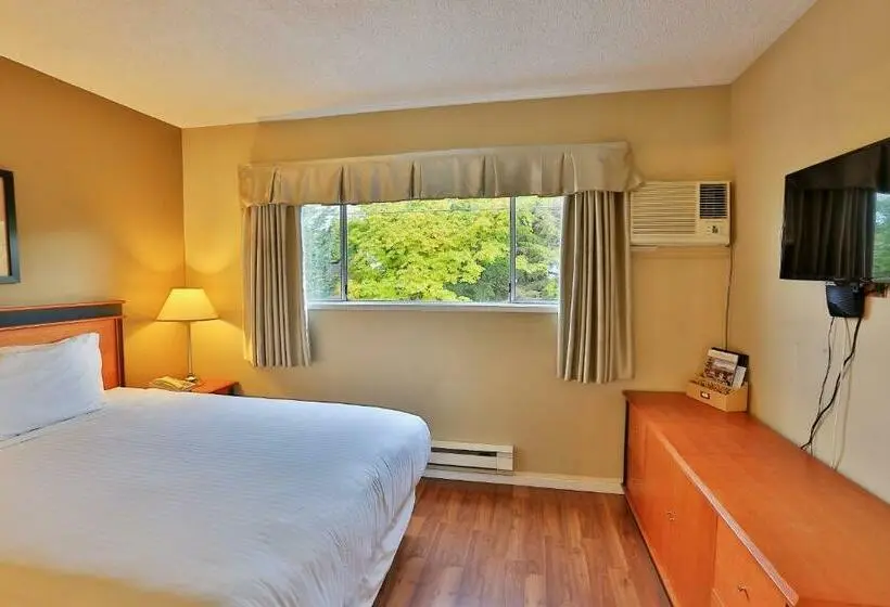 Sviitti, Diplomat Motel