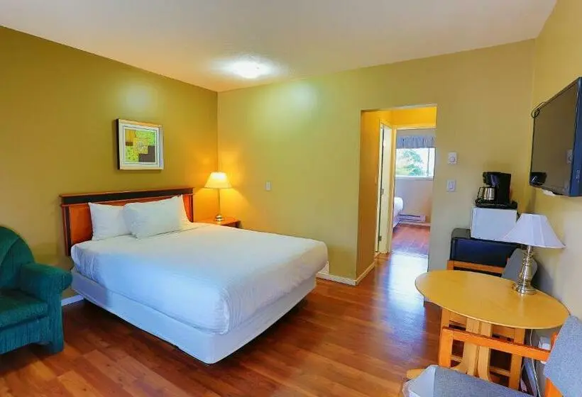Standard-huone, Diplomat Motel