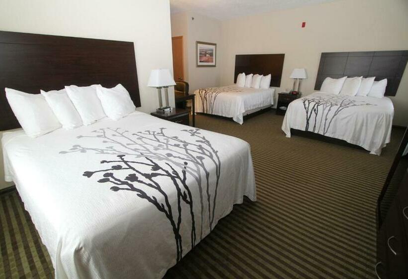 غرفة عائلية, Bowman Inn And Suites