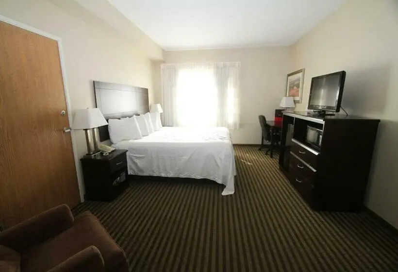 キングサイズベッドのスタンダードルーム, Bowman Inn And Suites