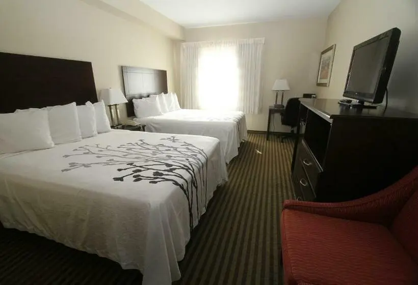 スタンダードルーム, Bowman Inn And Suites