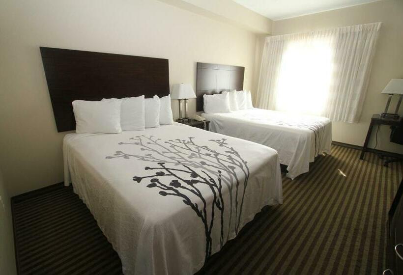 스탠다드 룸, Bowman Inn And Suites