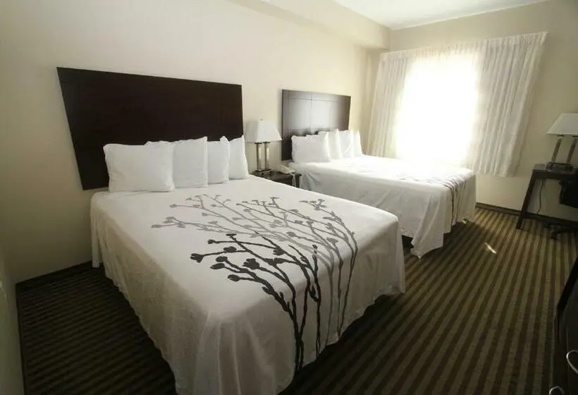 スタンダードルーム, Bowman Inn And Suites