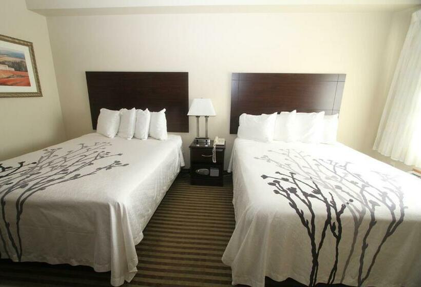 غرفة قياسية, Bowman Inn And Suites