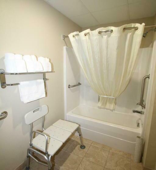 غرفة قياسية سرير كينج لذوى الإحتياجات الخاصة, Bowman Inn And Suites