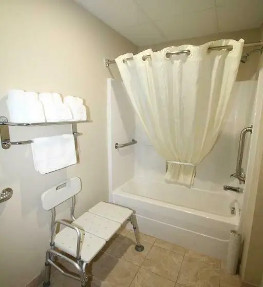 身障者適用キングサイズベッドルーム, Bowman Inn And Suites