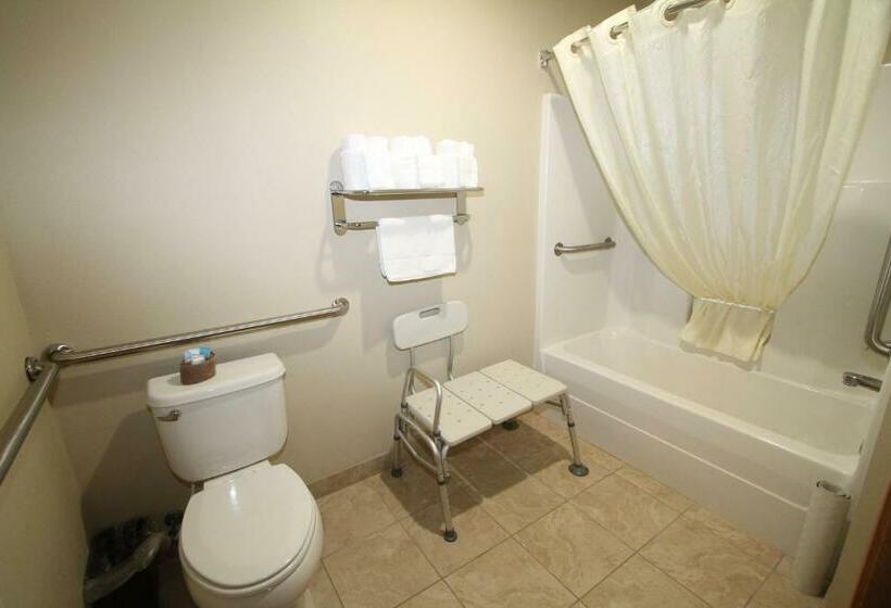 장애인을 위한 킹사이즈 침대 스탠다드 룸, Bowman Inn And Suites