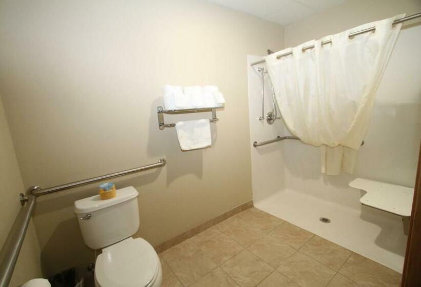 장애인을 위한 스탠다드 룸, Bowman Inn And Suites