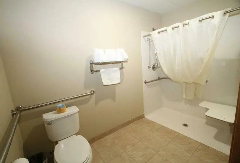 身障者適用スタンダードルーム, Bowman Inn And Suites