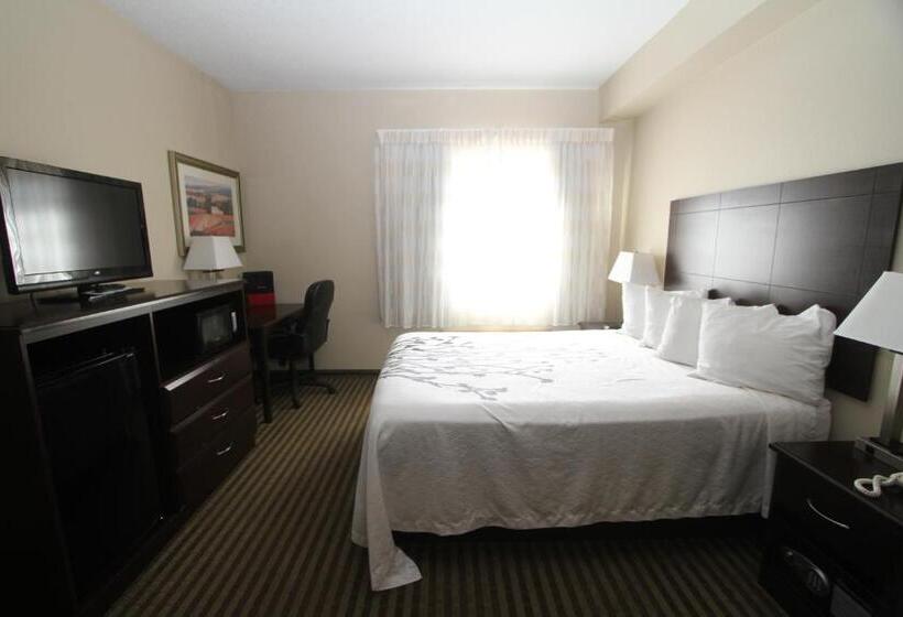 غرفة قياسية لذوى الاحتياجات الخاصة, Bowman Inn And Suites