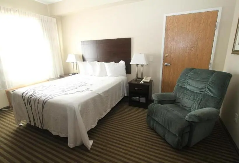 身障者適用スタンダードルーム, Bowman Inn And Suites