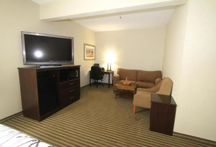 キングサイズベッドのスタンダードルーム, Bowman Inn And Suites
