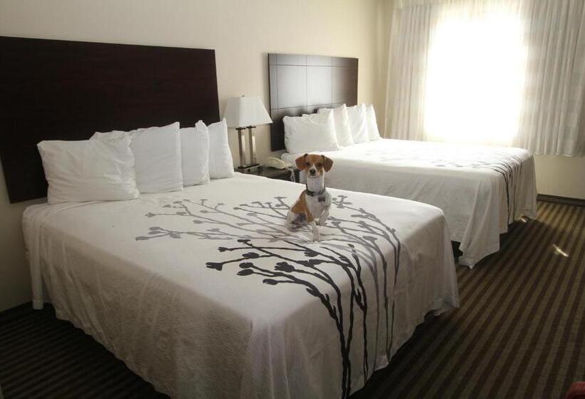 غرفة قياسية, Bowman Inn And Suites