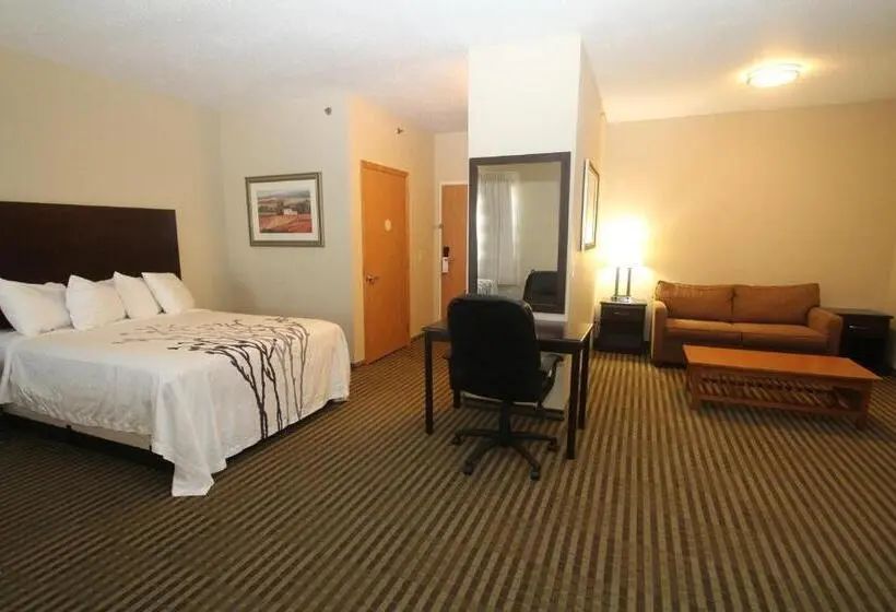 スイート（家族用）, Bowman Inn And Suites