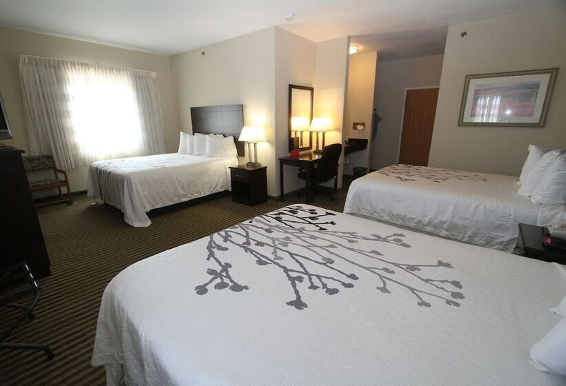 패밀리 룸, Bowman Inn And Suites