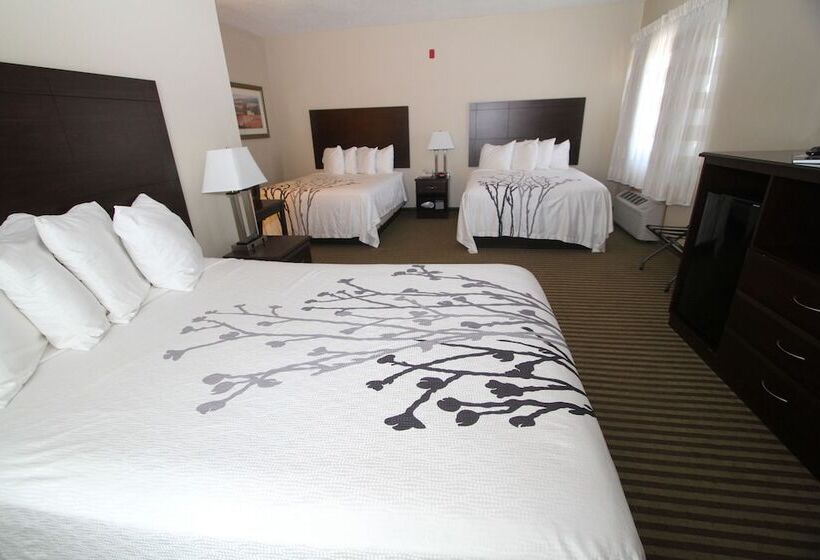 패밀리 스위트, Bowman Inn And Suites