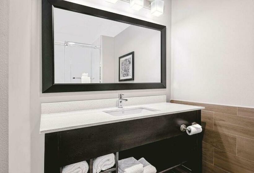 Deluxe Szoba Kind Size Bed, La Quinta By Wyndham Mcallen Convention Center