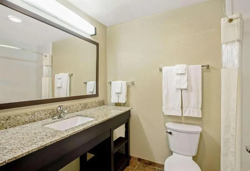 اتاق استاندارد با تخت بزرگ برای معلولان, La Quinta By Wyndham Gillette