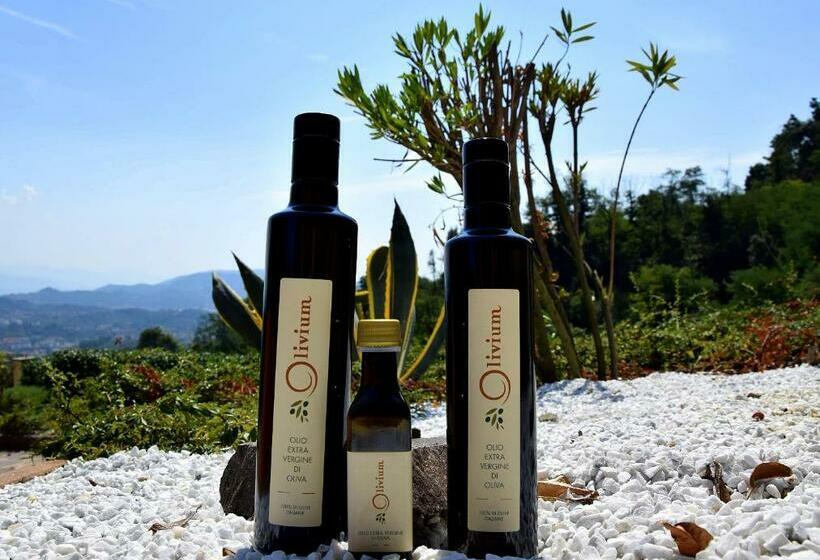 استودیوی استاندارد, Olivium