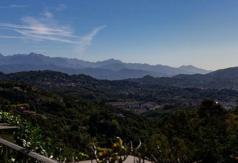 آپارتمان 1 خوابه, Olivium