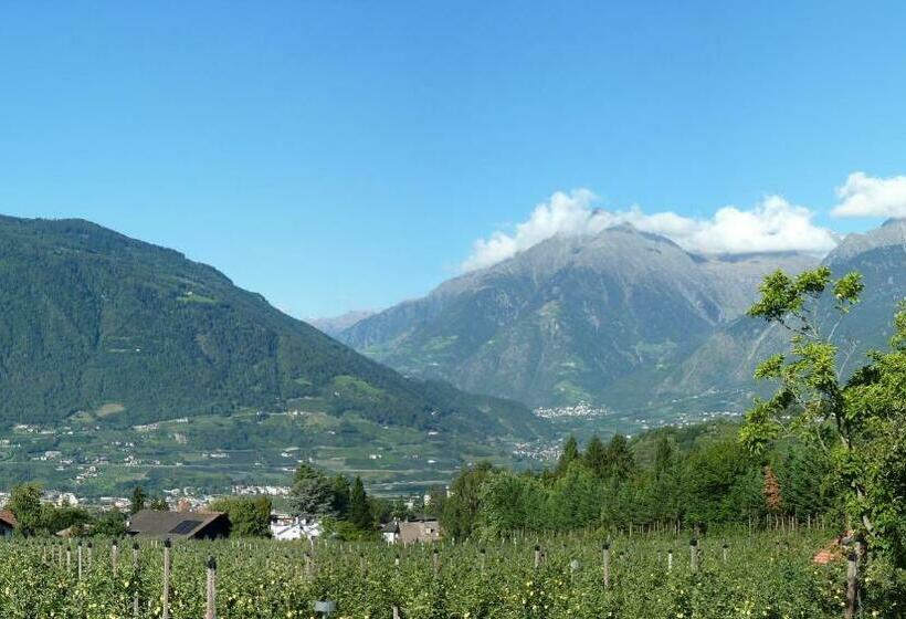 套房带泳池景, Pension Verdorfer