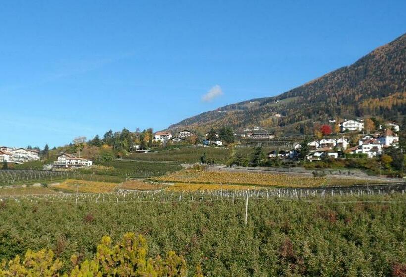 带阳台的标准单人间, Pension Verdorfer