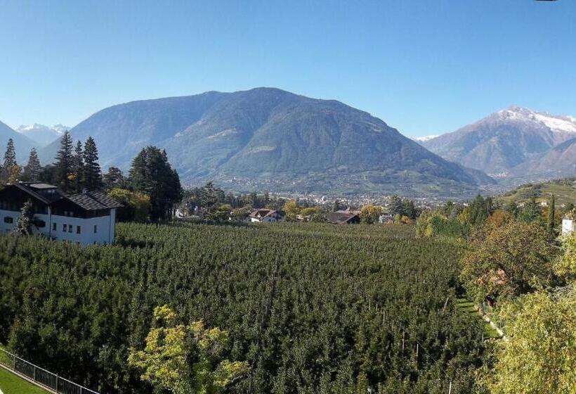 标准间带阳台, Pension Verdorfer