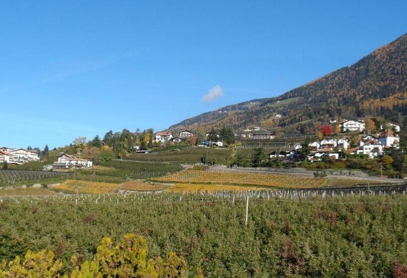 Classic room with balcony, Pension Verdorfer