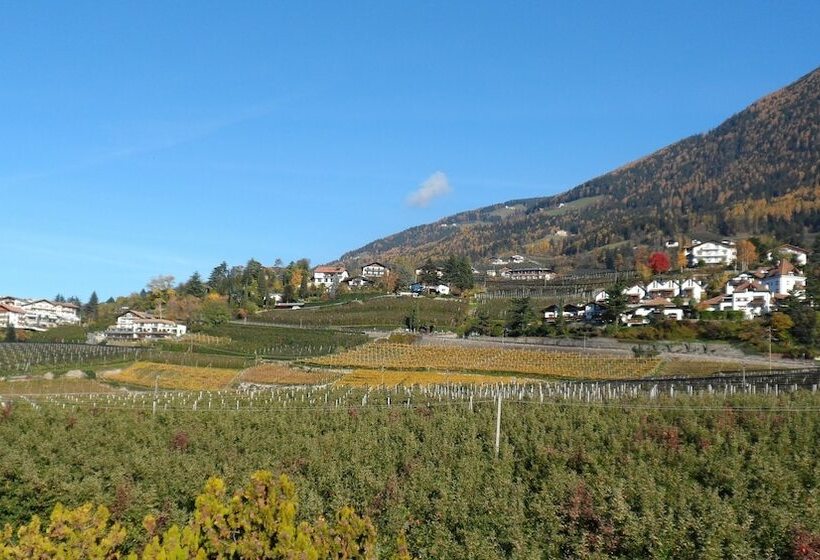 标准间带阳台, Pension Verdorfer