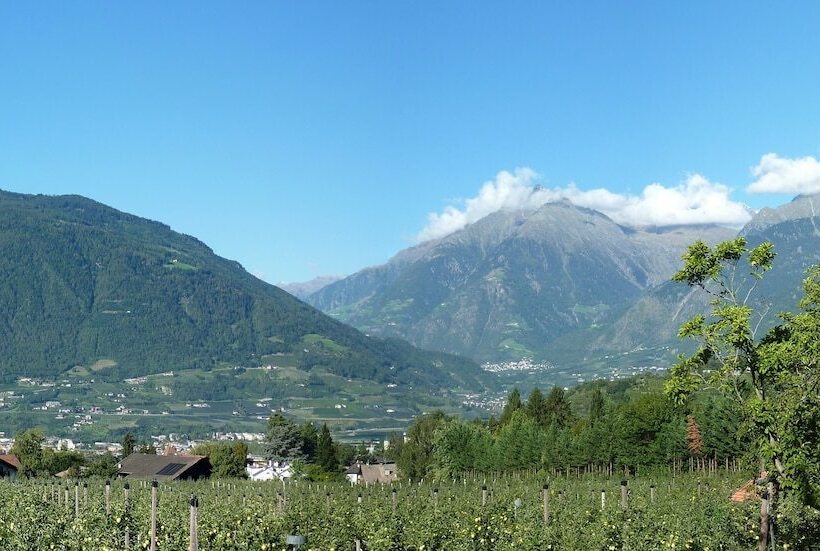 套房带泳池景, Pension Verdorfer