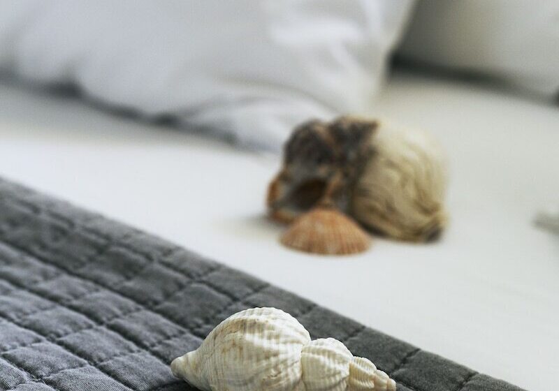 דירת חדר בקומת קרקע, Roditsa Patritsia Apartments