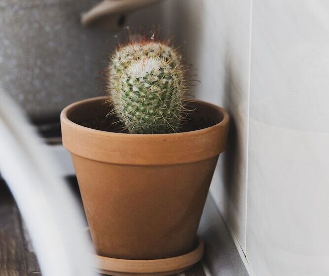 דירת חדר בקומת קרקע, Roditsa Patritsia Apartments